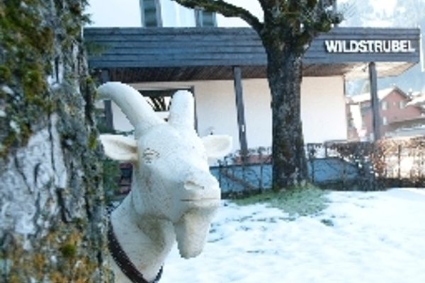 Sporthotel Wildstrubel (Lenk)